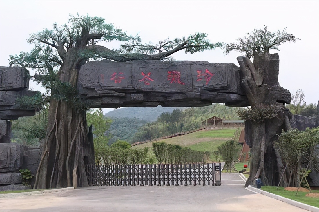 九江哪个地方有花海,江西九江花海