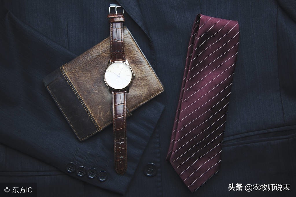 手表女表哪个品牌好一点,欧米茄男表适合女士