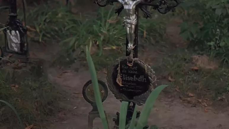 从墓地公园归来,我变罗曼蒂克了