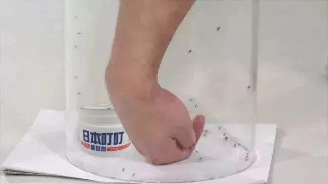 用什么土方法灭蚊子,有什么土办法灭蚊子
