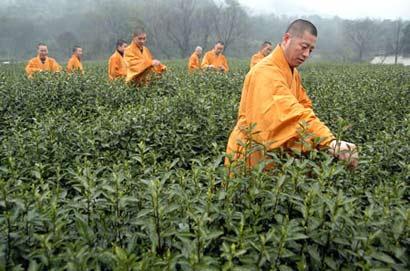 什邡马祖镇，作为马祖出生、出家、晚年设坛弘法的故土，还有看嘛