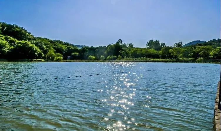 金陵最迷人的景点,金陵的独特之处