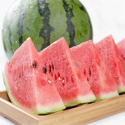 8424西瓜种植技术,8424露天种植西瓜品种哪个好管理