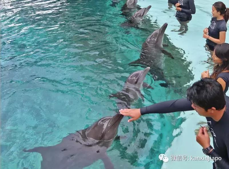 圣淘沙游玩路线攻略,圣淘沙名胜世界免费吗