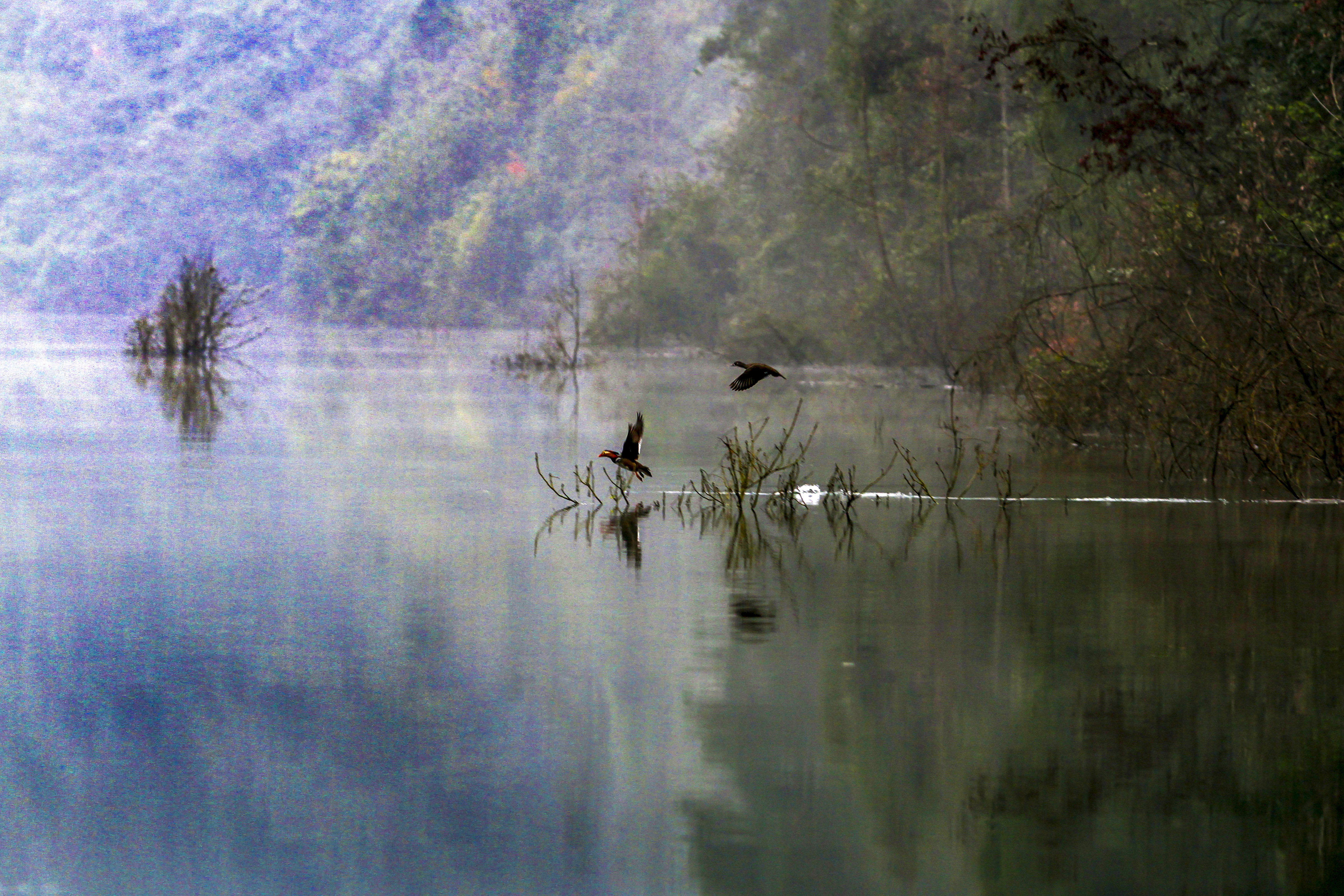 天堂纳木错完整版,天堂圣湖