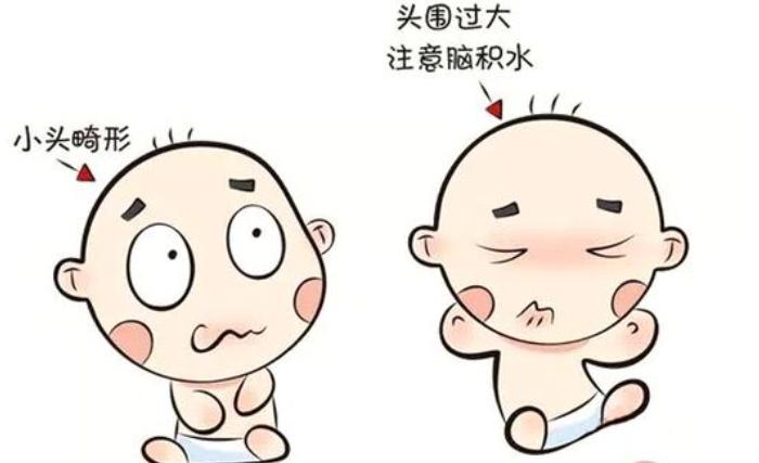 双顶径和头臀长对照表,双顶径和股骨长能看出宝宝多重吗