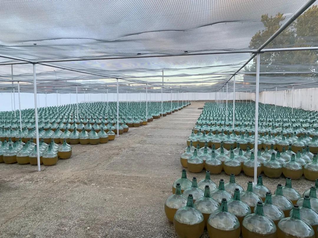 自由行去巴黎西班牙巴塞罗那行程,从巴塞罗那到巴塞罗那