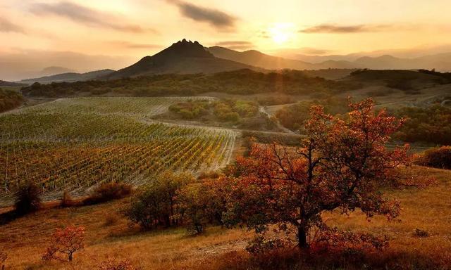 处世哲学三不管四不说五不帮,聪明人做事三不管四不帮