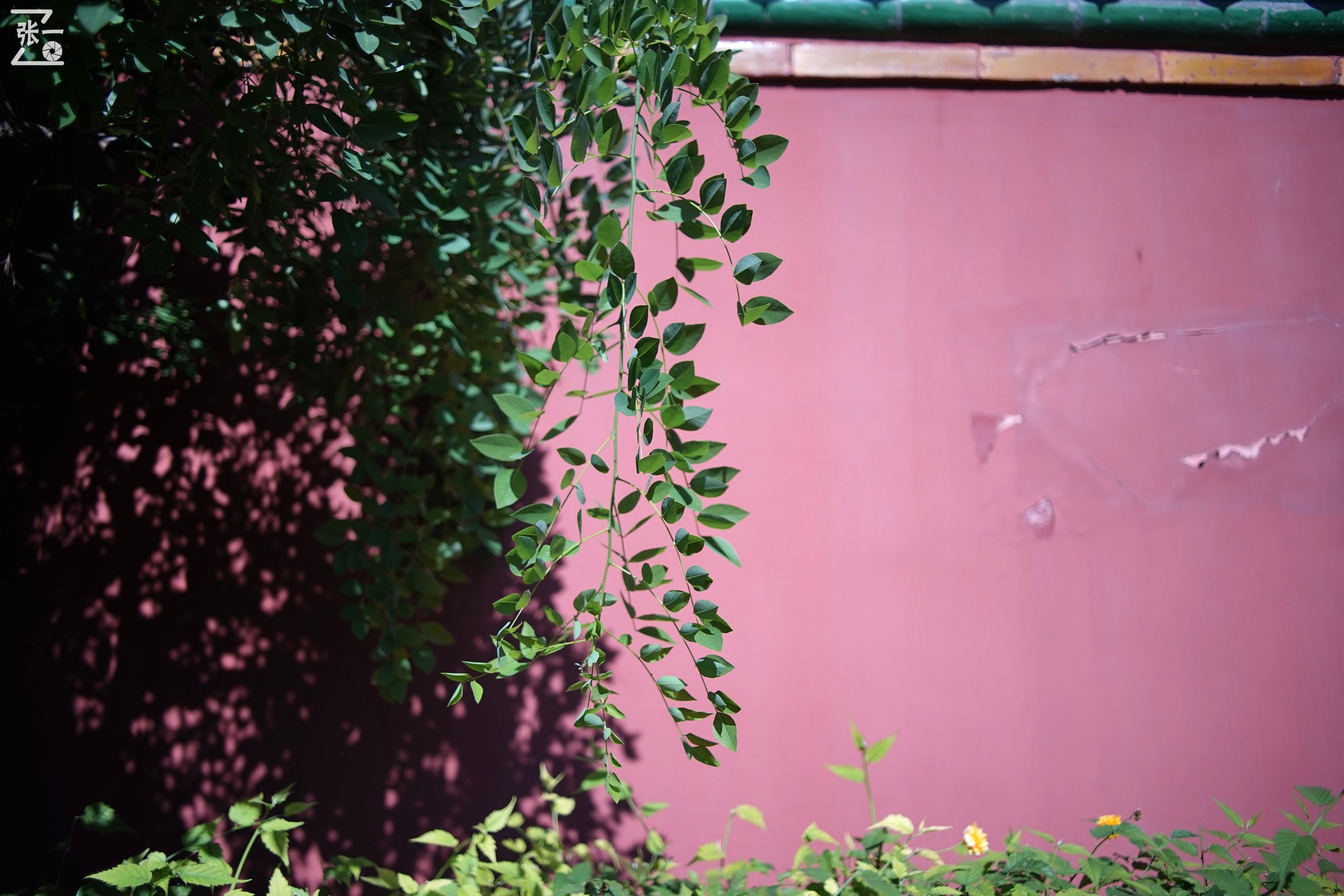 镜头测试：蔡司红T28/2.8+索尼微单A7实拍北京景山公园