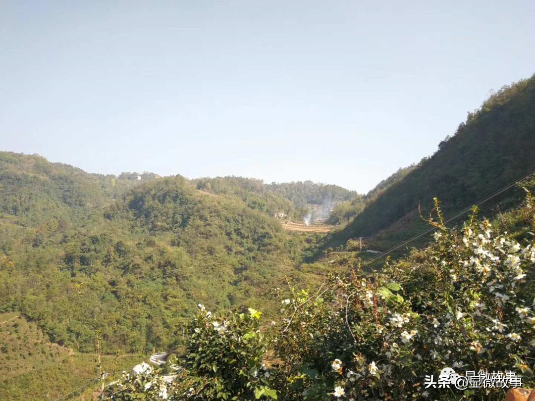 三线城市买*口车进**厘子、花数万元装修鱼缸，这里没有“下沉市场”