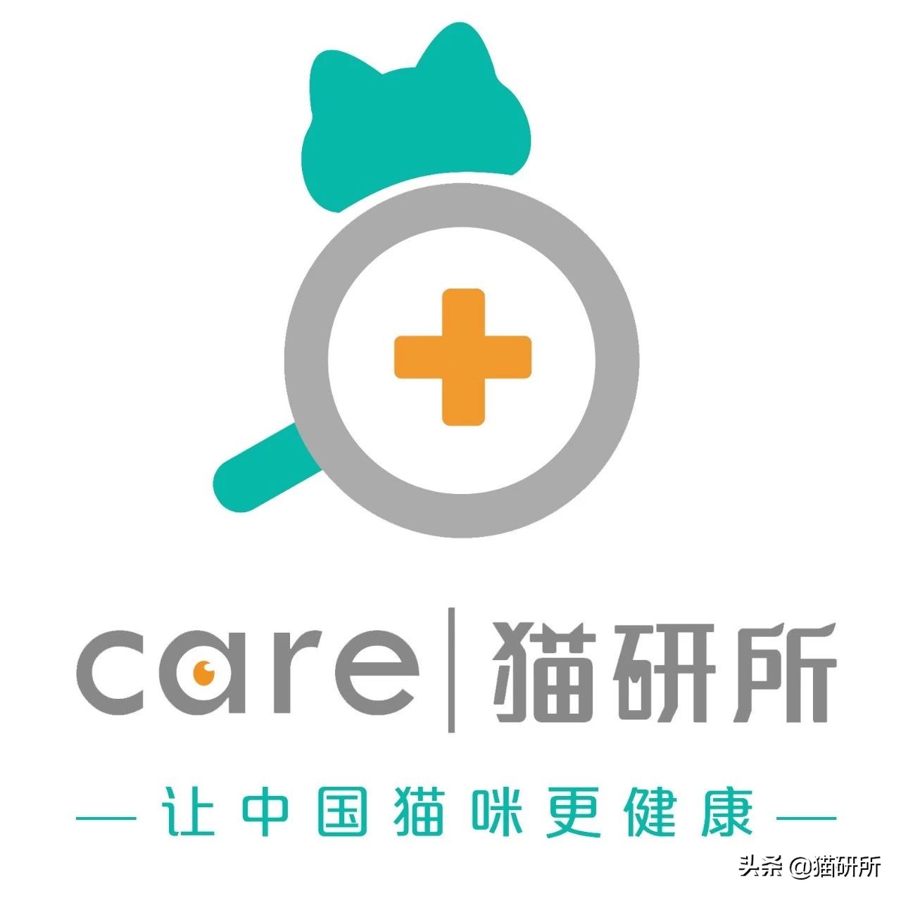 小猫喝纯牛奶会不会出事,小猫喝牛奶死了