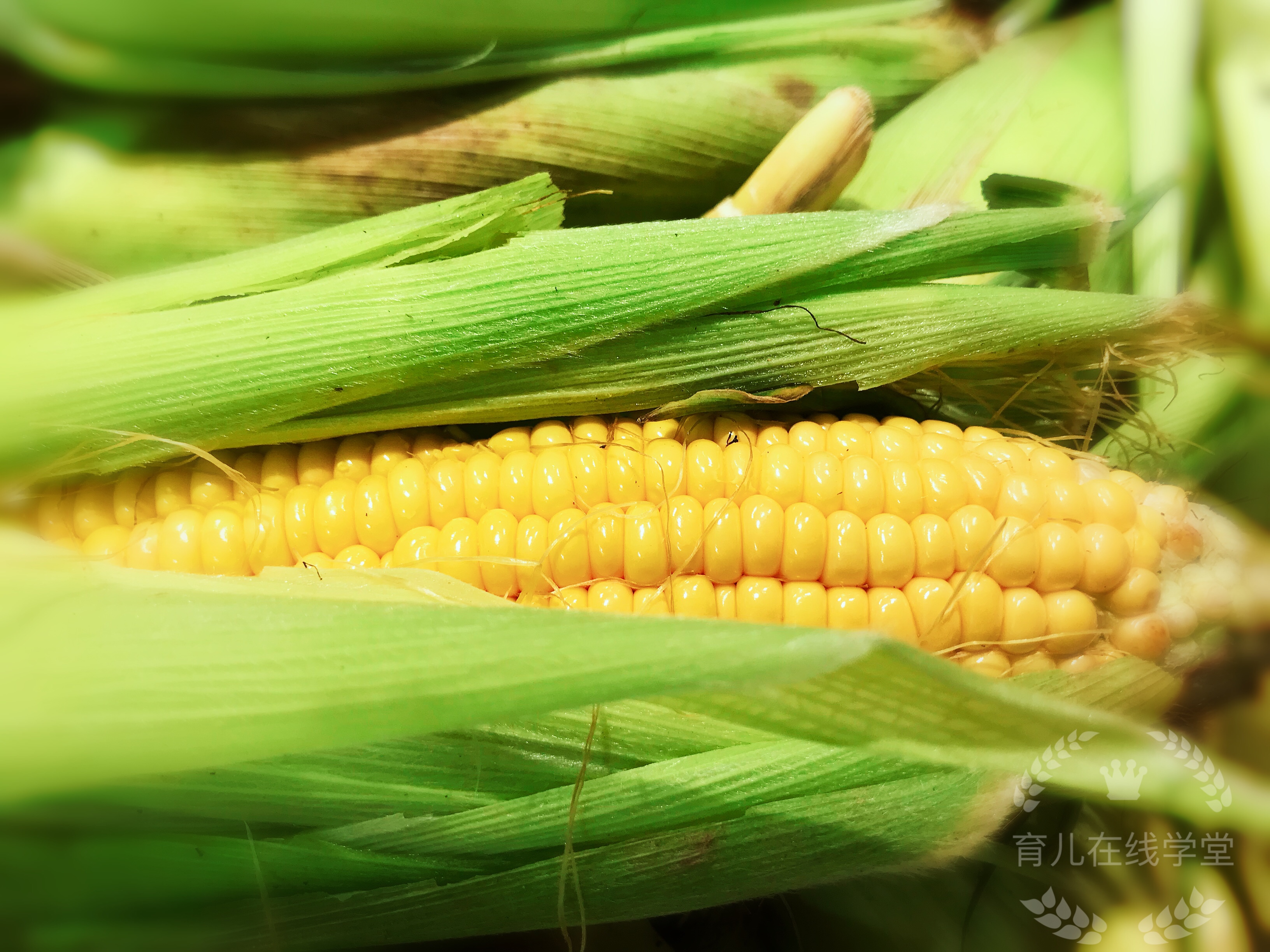 男性备孕吃维生素e好处,备孕期男的可以吃维生素e吗