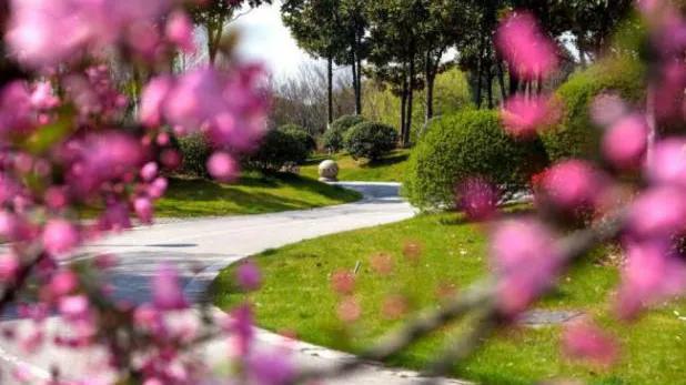 无锡尚贤河湿地夜光跑道路线,无锡古运河慢行步道