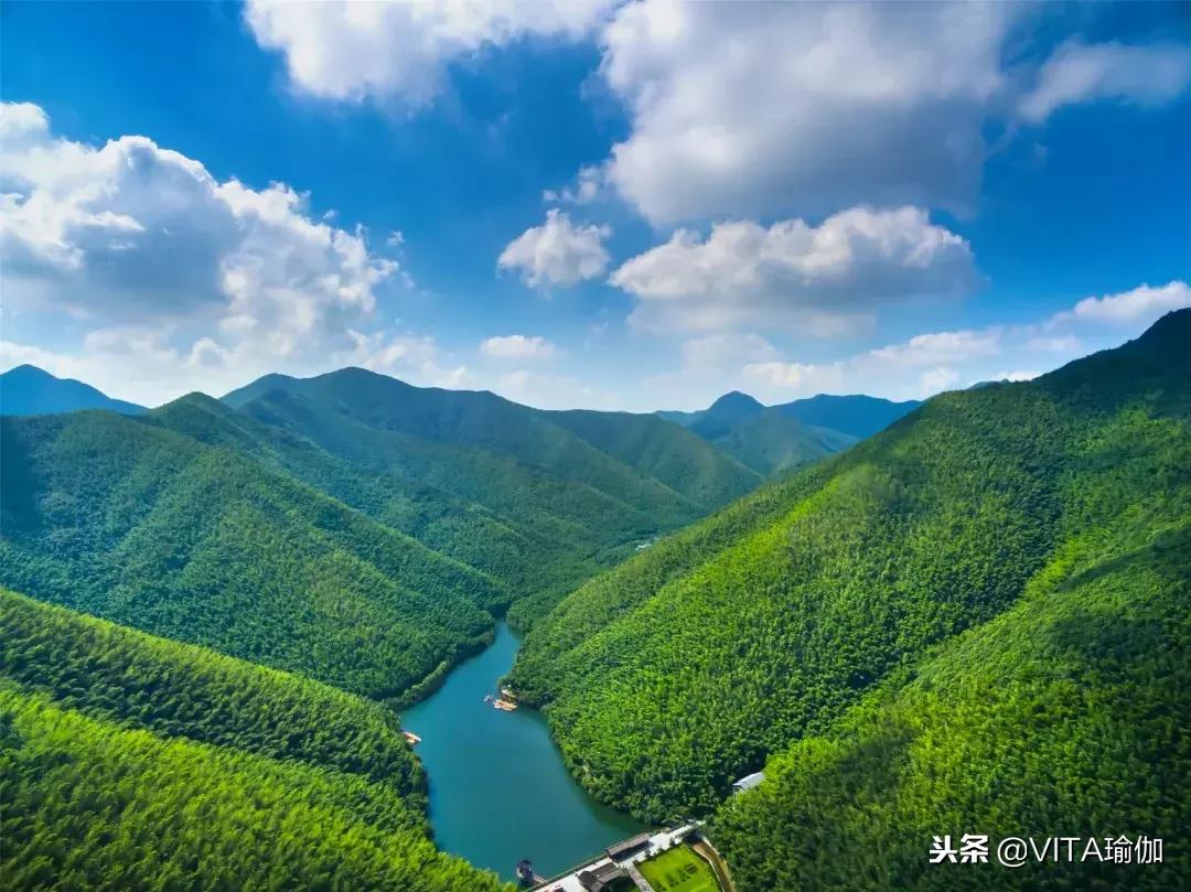 禅修茶道瑜伽馆,禅修疗愈馆