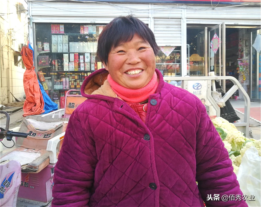 农民种蔬菜注意事项,土地种植蔬菜怎么管理好