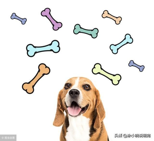 蜗牛如果在刀片上爬行会怎么样,蜗牛身体是软的还是不软的