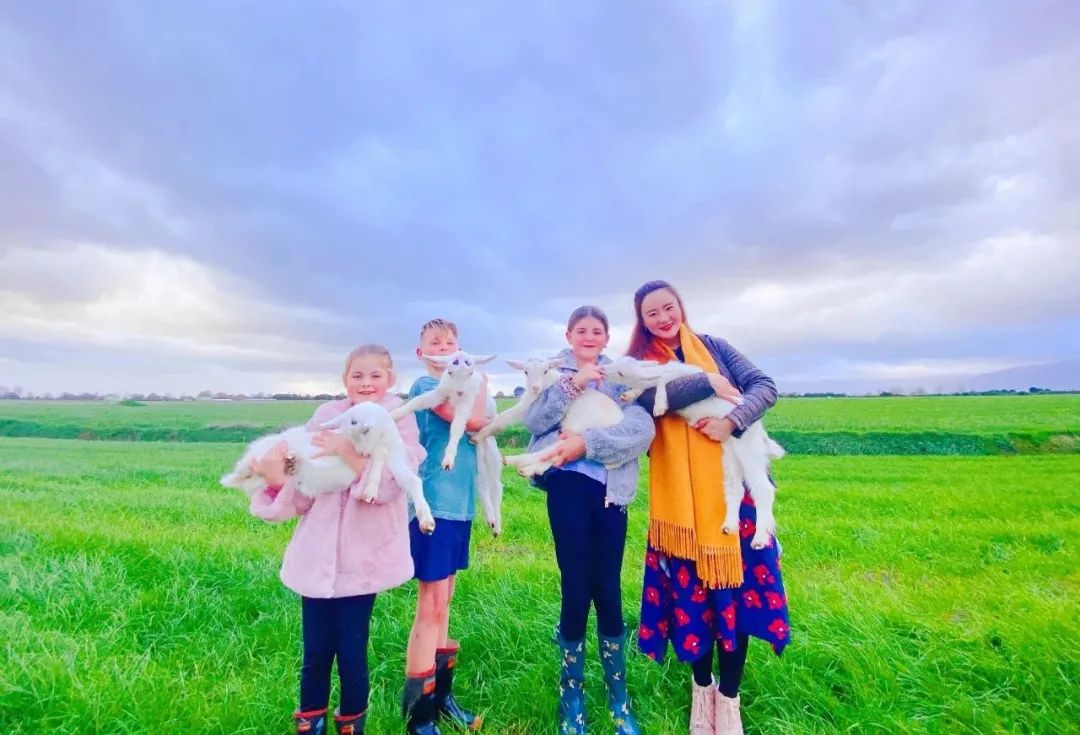 蒙臻婴幼儿羊奶粉配方,典极儿童羊奶粉价格