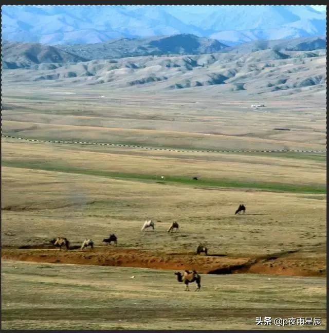 照片去雾变清晰,照片去朦胧感