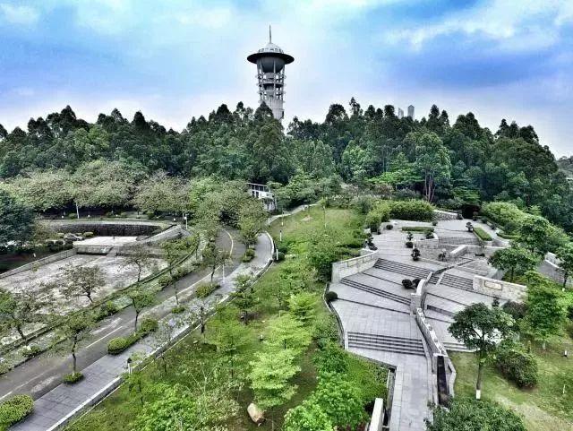 广东省大专卫校排行榜,广东省大专院校排名一览表