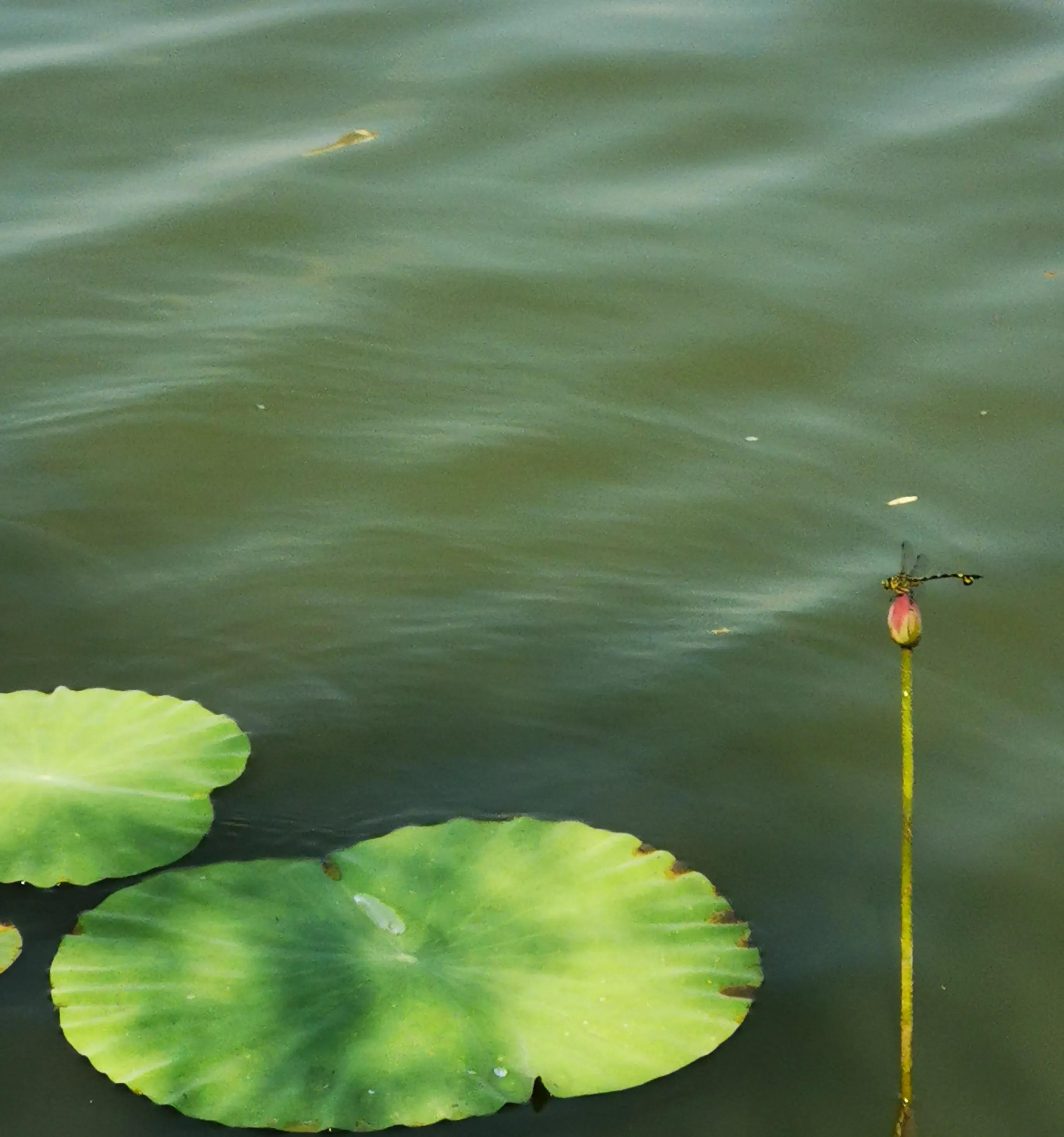 手拍世界投稿,手拍世界作品专集