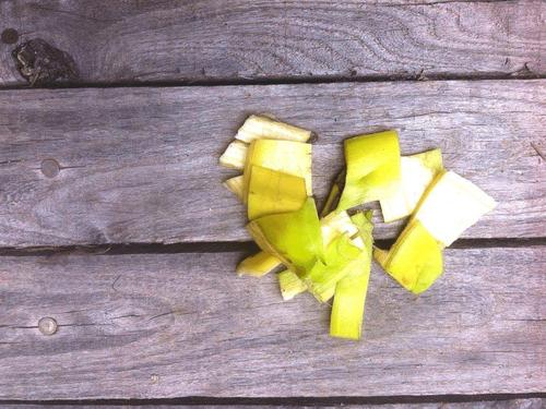 因换盆造成的绿萝黄叶怎么处理,绿萝黄叶枯萎怎么换盆