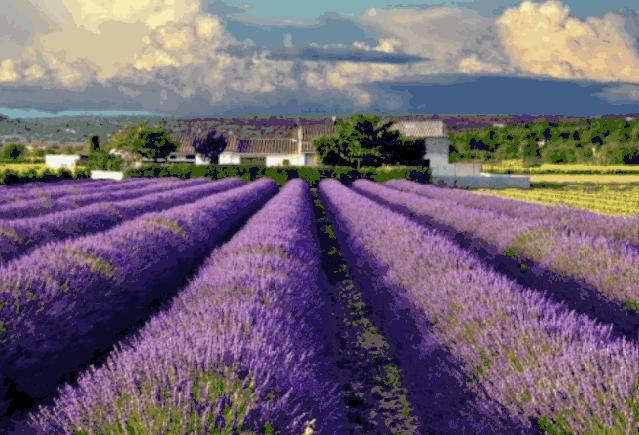 多梦调理助眠视频,失眠多梦怎么办教你一招