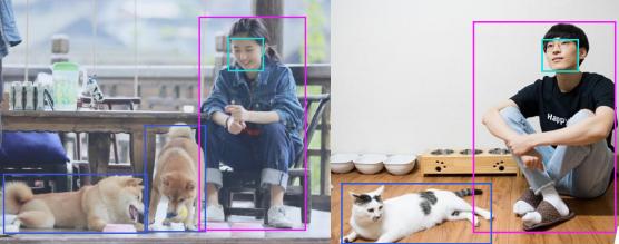 君正t41火焰,君正t40可以识别车牌么