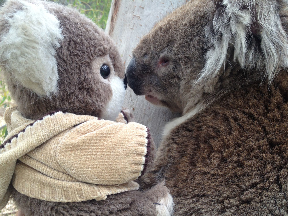 探秘美好氧气女装店：把澳大利亚袋鼠岛搬到城市中央