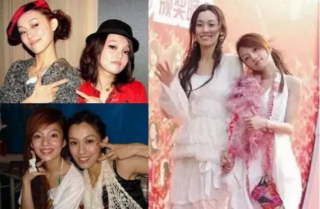 范玮琪为啥道歉,范玮琪回应被骂