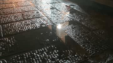 遇见阆中原声,遇见阆中的作品