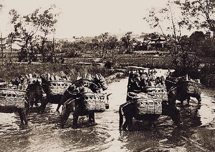 弥勒市为何发展这么快,弥勒怎么了