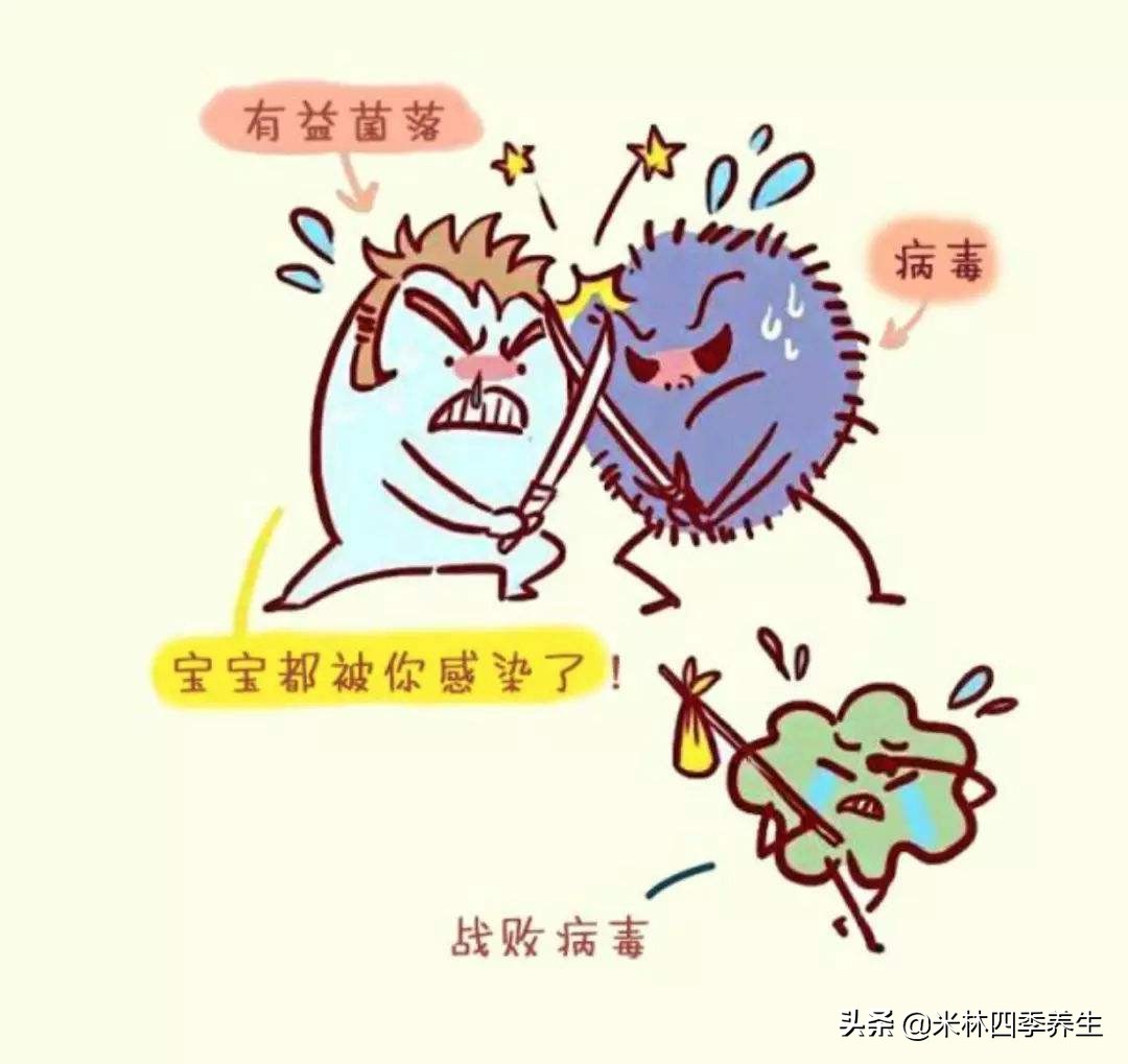 面对病毒,最好的办法就是增强免疫力,告诉你增强免疫力的方法