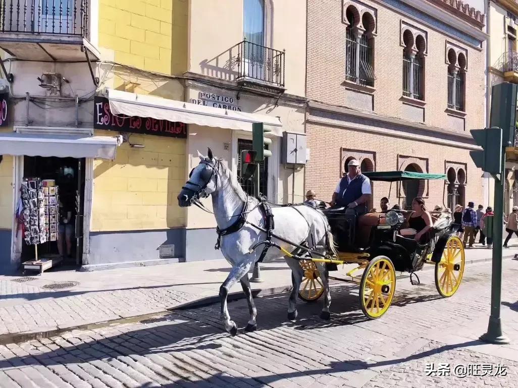 佳能单反相机5万元内推荐购买,2024佳能单反全画幅相机报价