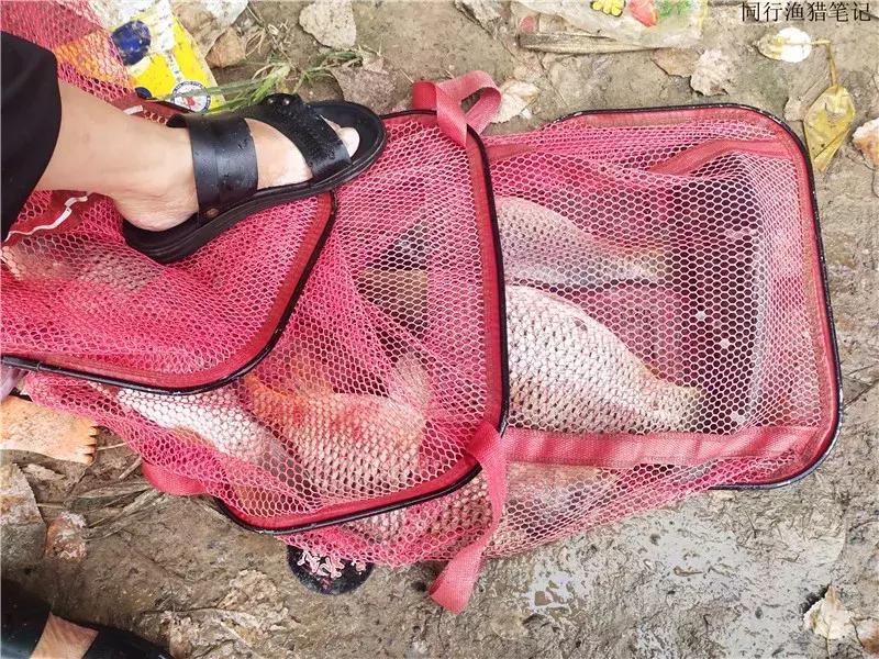 娲涘簞閽撻奔,娲涘簞鍨傞挀