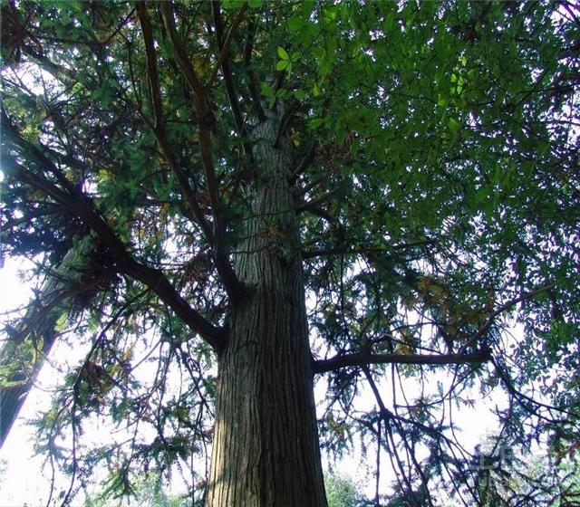 偶遇好姑娘,遇见好姑娘