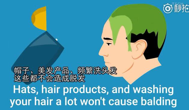 小贝上央视新闻,小贝秃头照