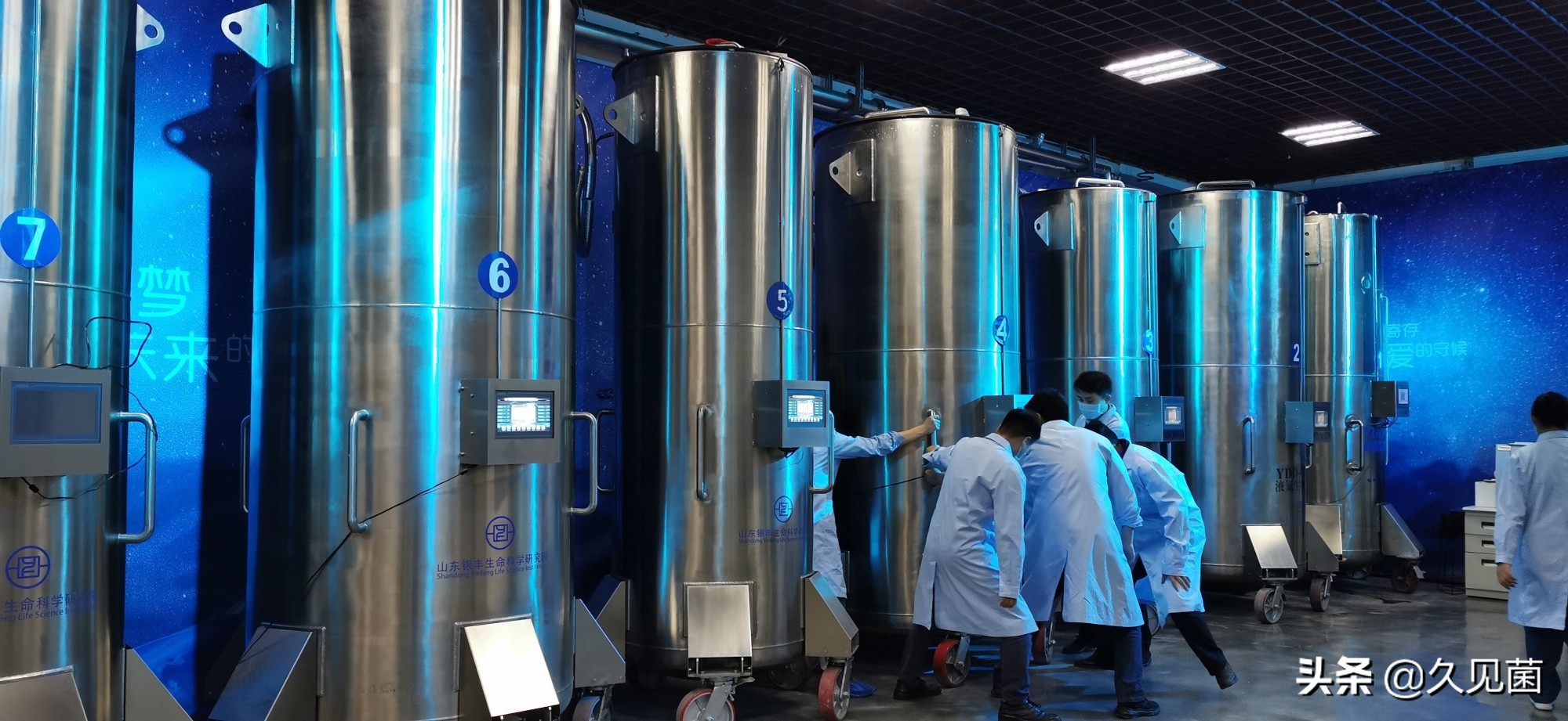 被冷冻的人至今怎么样了,首例冻人50年后复活的现状