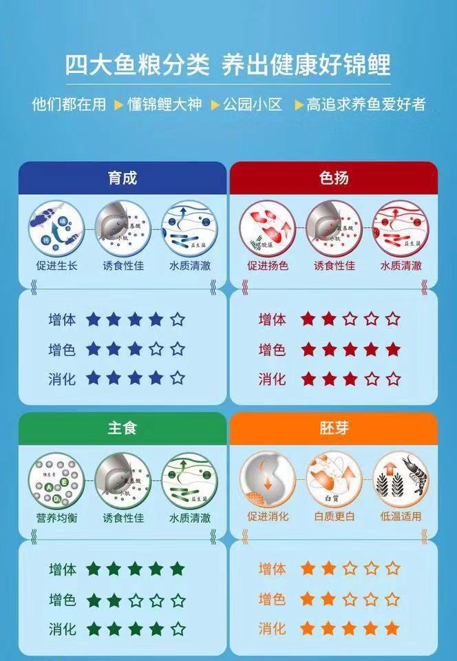 养鱼张哥最新视频,鱼缸怎么养锦鲤鱼最好