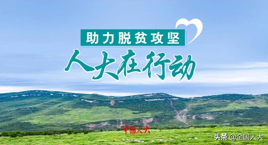 贵州省人大推动保护赤水河,贵州攻克贫困堡垒昂首迈步小康