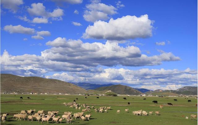 萨顶顶的“假唱转话筒事件”,萨顶顶假唱转话筒事件视频