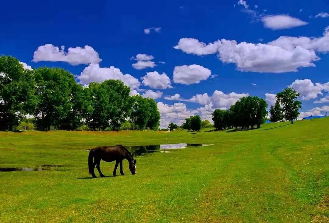 黑河加油北安平安,黑河加油万众一心抗击疫情