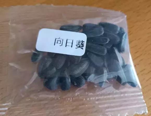 这10种花不怕晒,这3种花不能懒着养