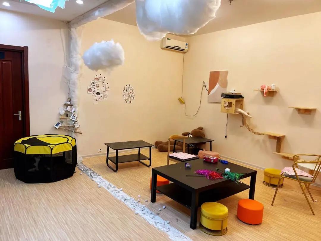 你还在躺平吗？喵星人都出来打工啦