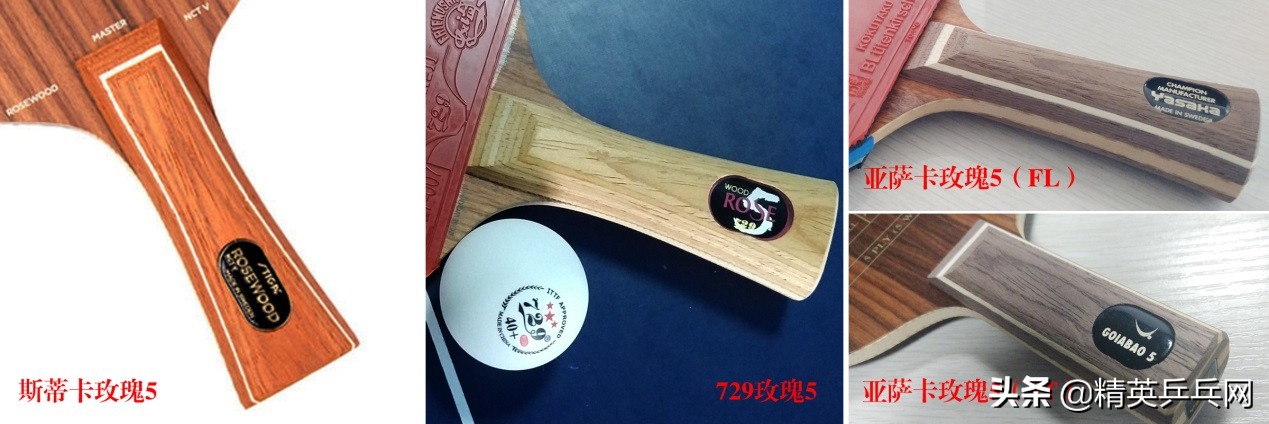 玫瑰摇曳各显风情——729玫瑰5、斯帝卡玫瑰5、亚萨卡玫瑰5