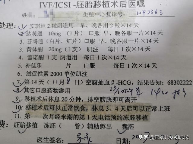 我的试管之路6——移植，带我的小宝贝回家