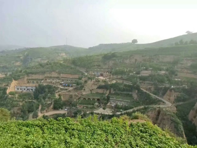 人教版英语九年级上册期末总复习,人教版九年级英语14单元语法讲解