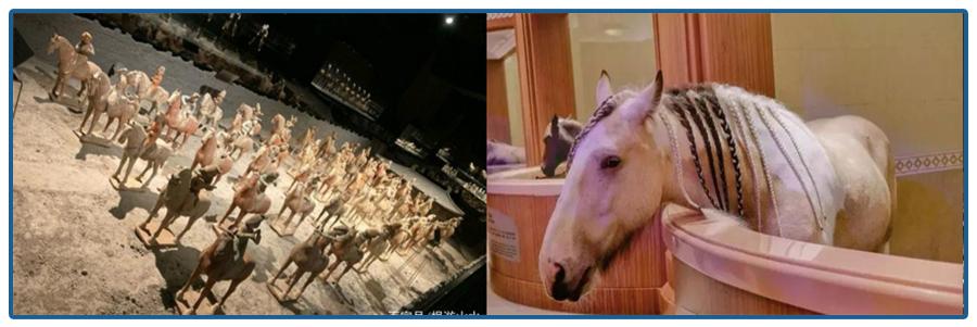 海澜之家为啥不效仿优衣库模式,海澜之家与优衣库相比差了什么