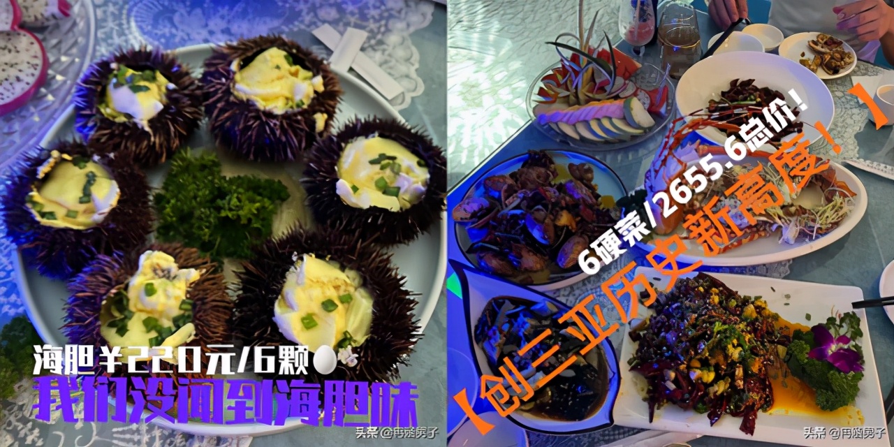 三亚海胆事件还要“反转”？店家称将起诉消费者，海南省长回应