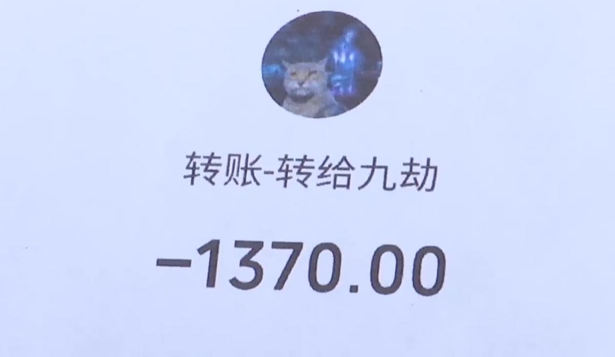 涉嫌保险诈骗的保险公司,保险公司的保险诈骗