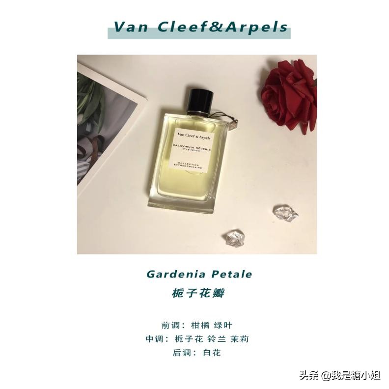 gucci绮梦栀子花香水bloom30ml,zaragardenia栀子花香水2018